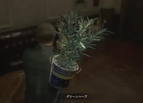 バイオの主人公草食うだけで傷が治るって