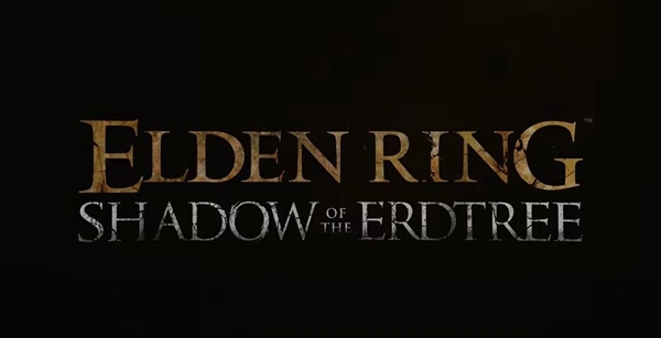 エルデンリングDLCまで一通りクリアしたんだけど終始イライラしたわ