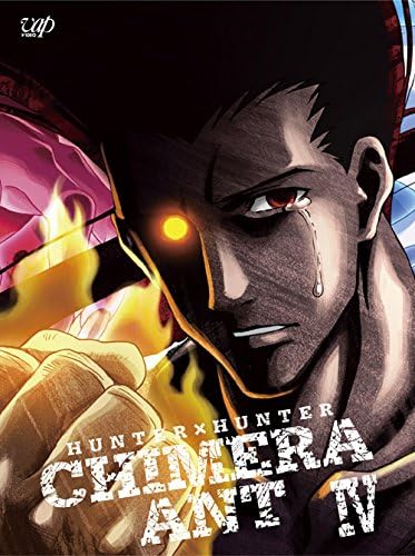 HUNTERｘHUNTER強さランキングって結局どれが正しいの？