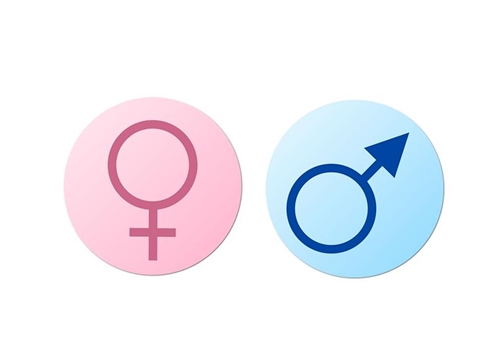 ゲームの主人公ってメインデータは男、サブは女にするよな