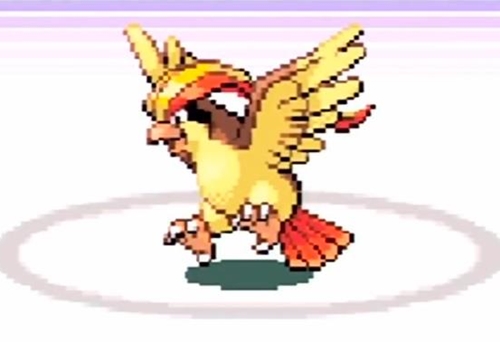 「ひこうタイプ」ってなんなんや